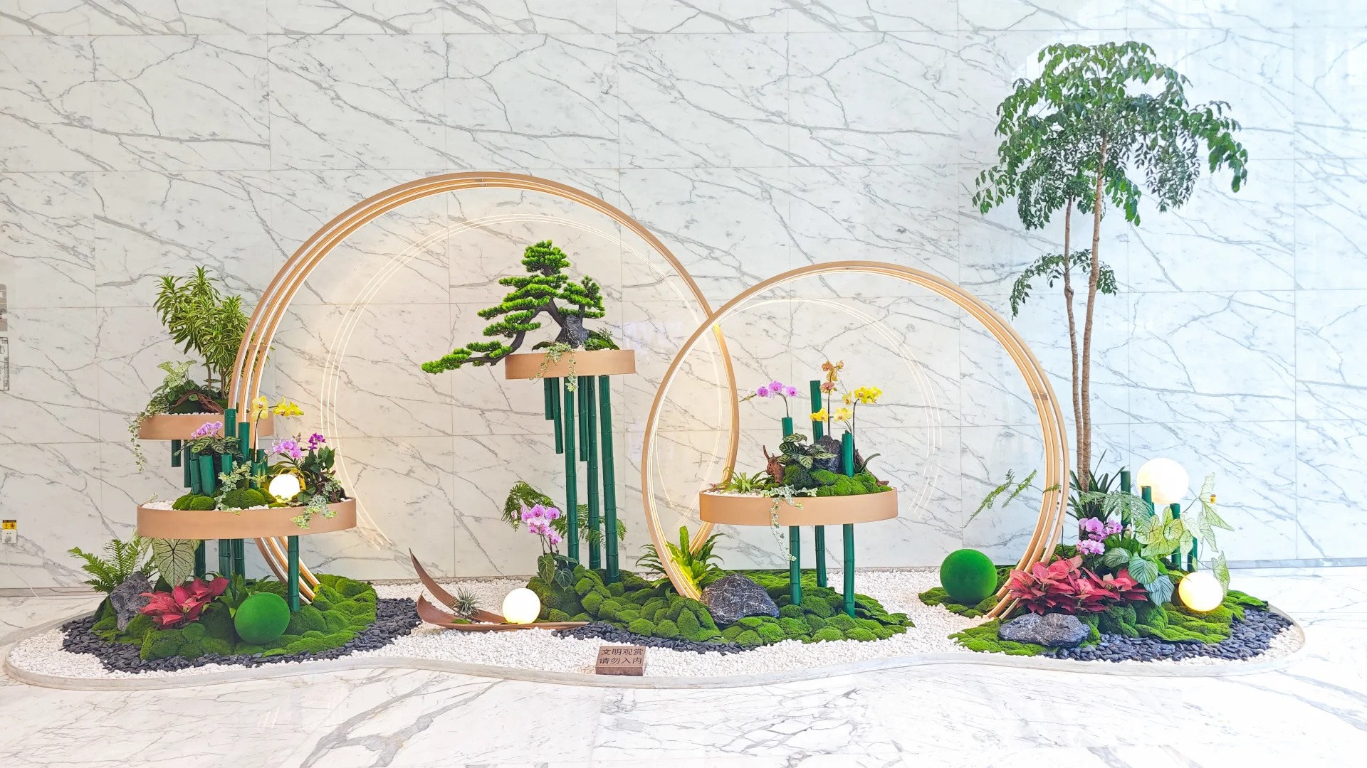 专业花卉出租，让宁波海曙更添生机与色彩